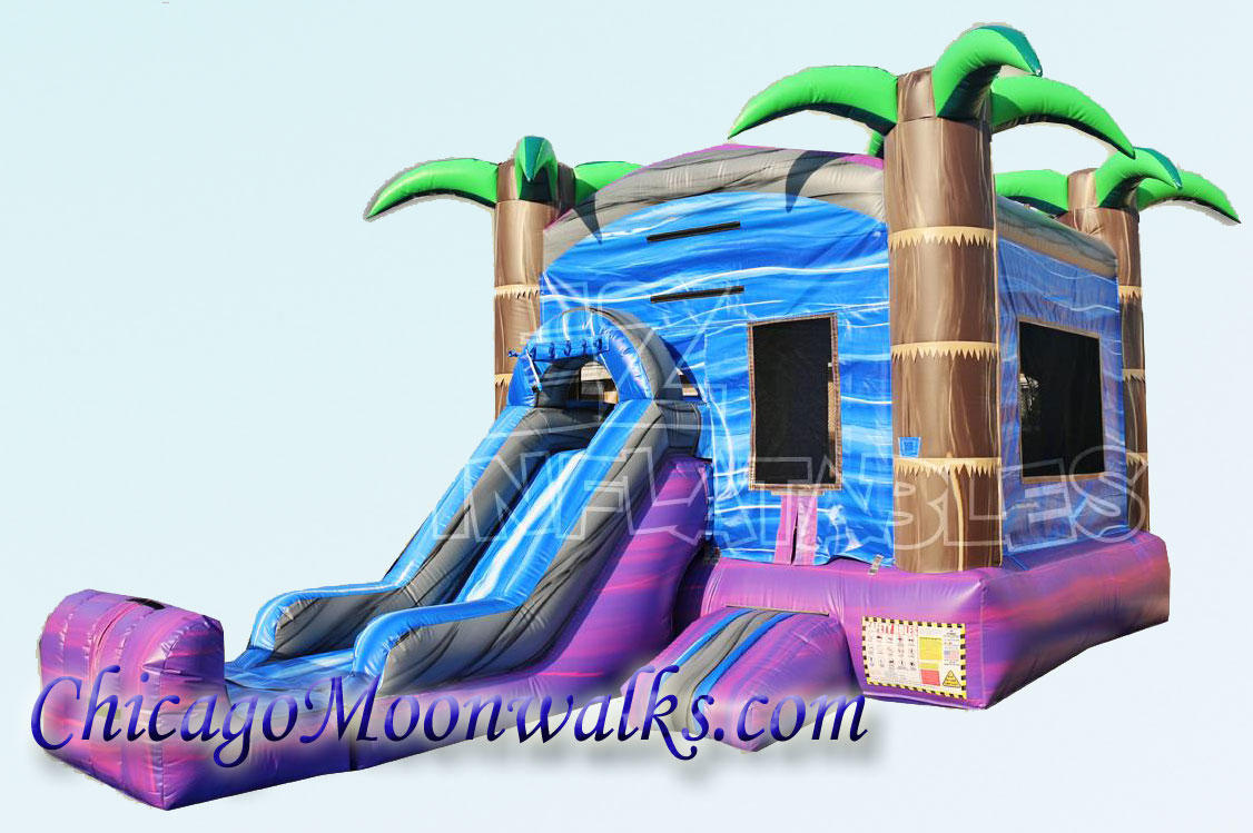 Purple Crush Combo Rental Bounce House in Chicago IL